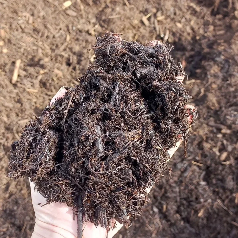 Tea Tree Mulch