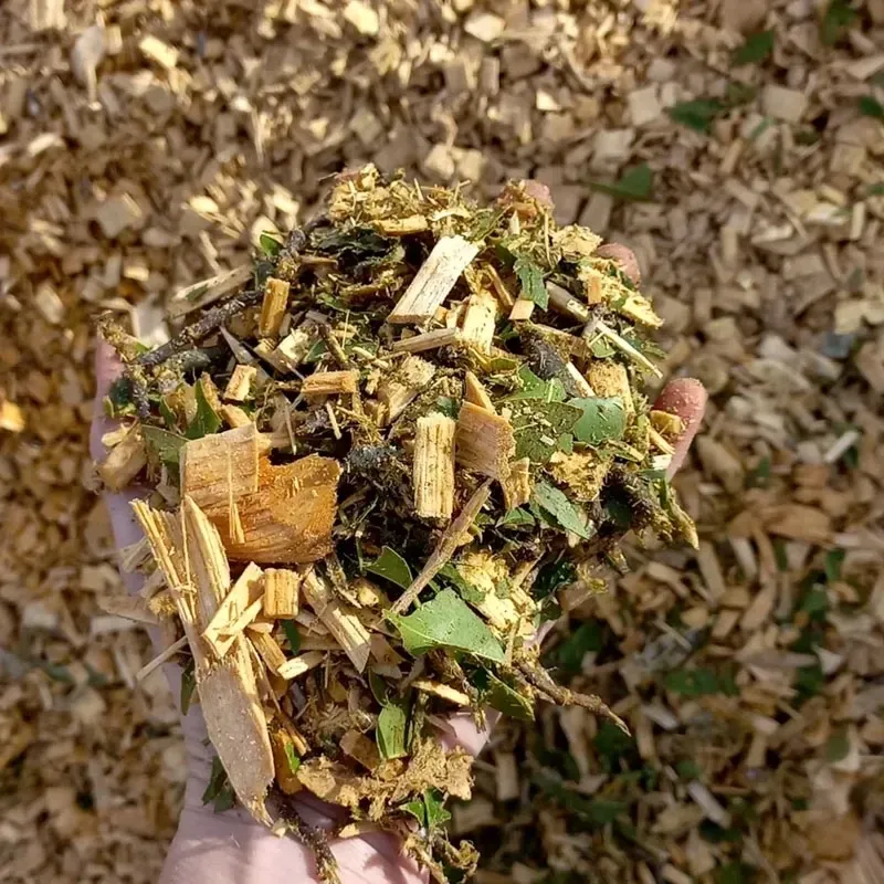 Forest Mulch