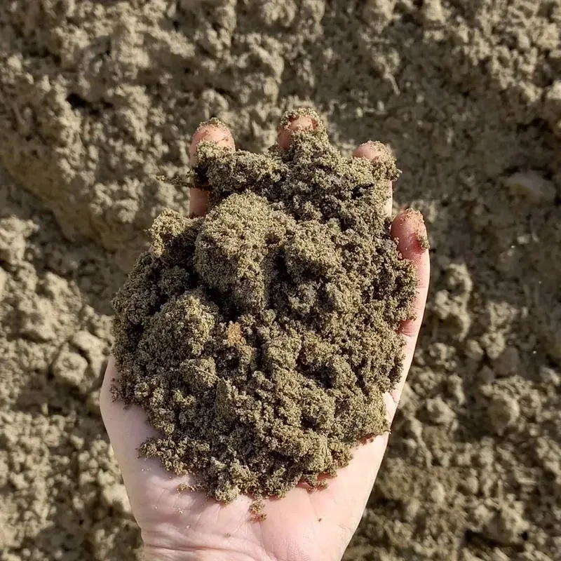 Premium Top Dressing