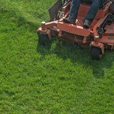 Turf