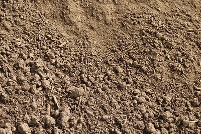 Garden Mixes & Soils