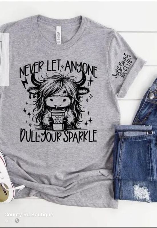 Dull Your Sparkle T-Shirt