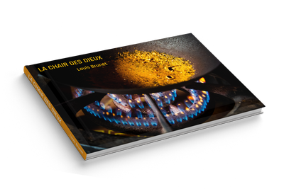 La chair des dieux - Le livre