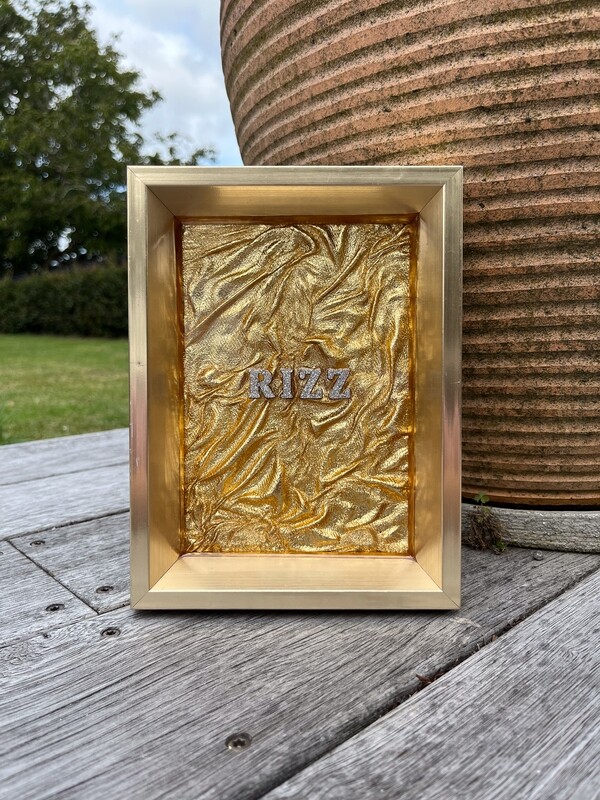 Framed Resin Artwork: Rizz