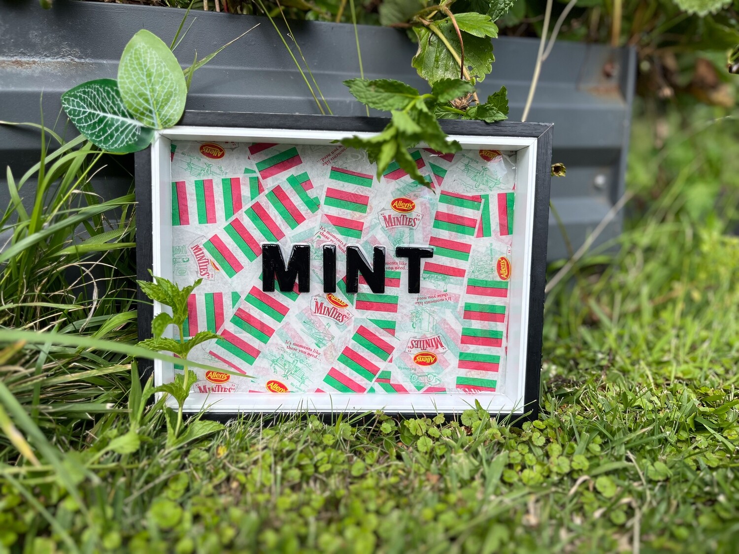 Framed Resin Artwork: Mint