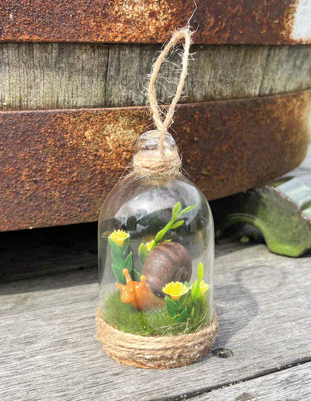 Snail Terrarium ​