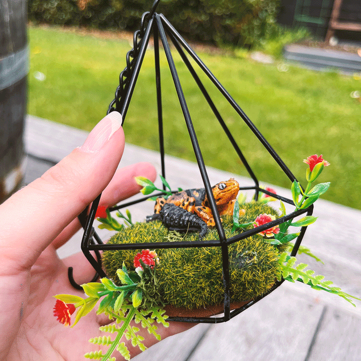 Gecko Terrarium ​
