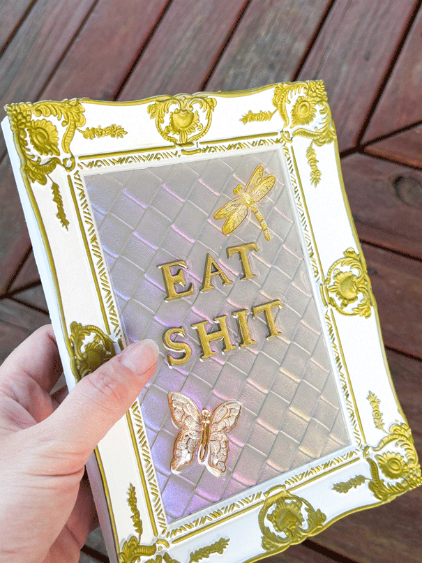 Framed Resin Artwork: Eat Shit