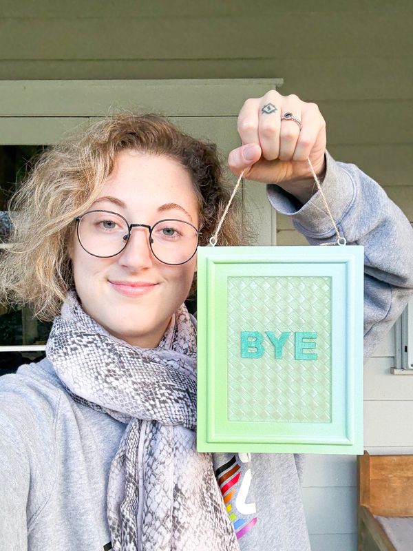 Framed Resin Artwork: BYE