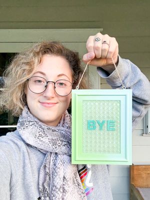 Framed Resin Artwork: BYE
