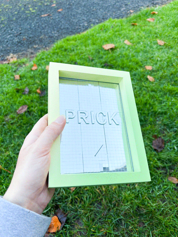 Framed Resin Artwork: Prick