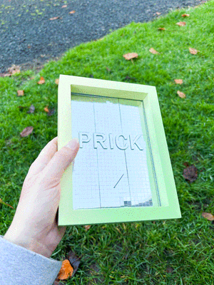 Framed Resin Artwork: Prick