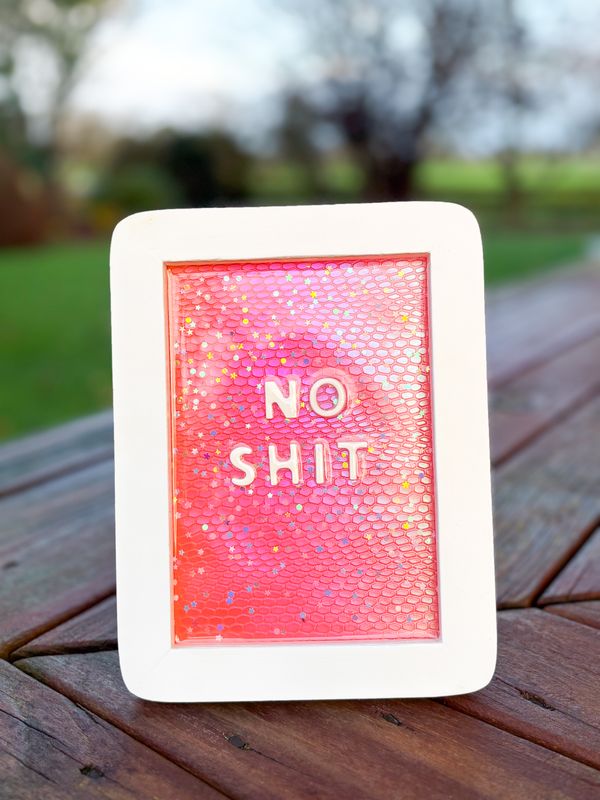 Framed Resin Artwork: No Shit