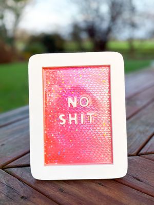 Framed Resin Artwork: No Shit