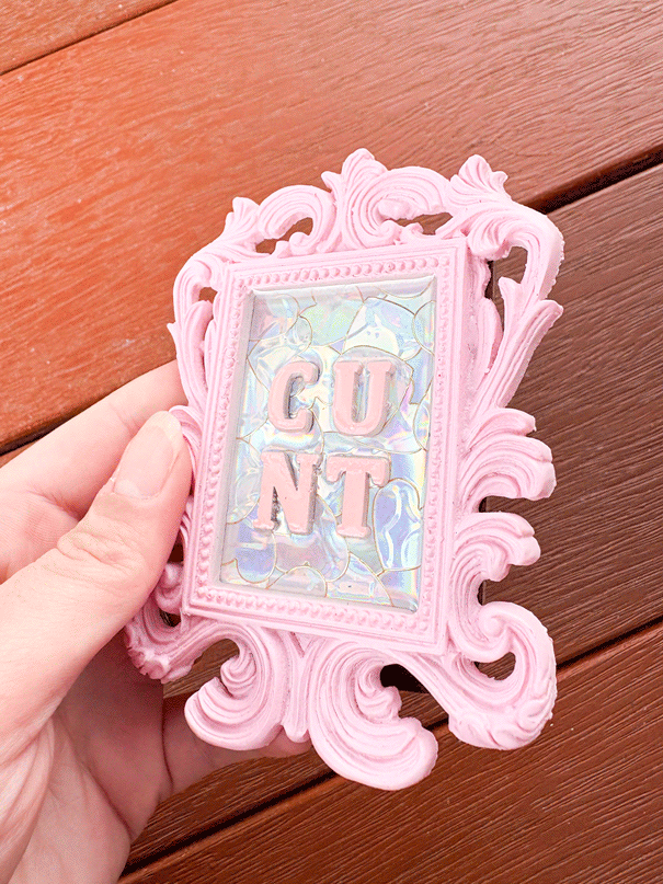 Framed Resin Artwork: C*nt