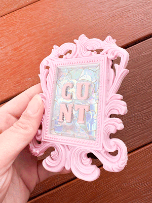 Framed Resin Artwork: C*nt