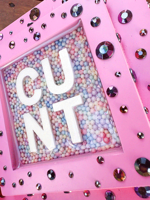 Framed Resin Artwork: C*nt