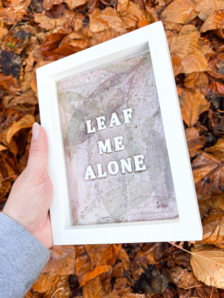 Framed Resin Artwork: Leaf Me Alone