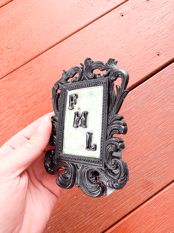 Framed Resin Artwork: FML