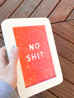 Framed Resin Artwork: No Shit