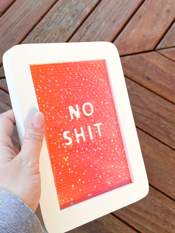 Framed Resin Artwork: No Shit