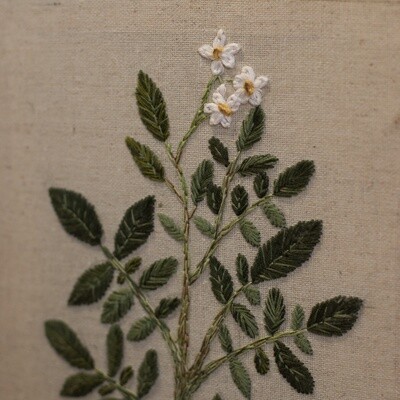Embroidered &amp; Needle Felted Potato Plant on CanvasBroderie et Feutre aiguilleté sur toile