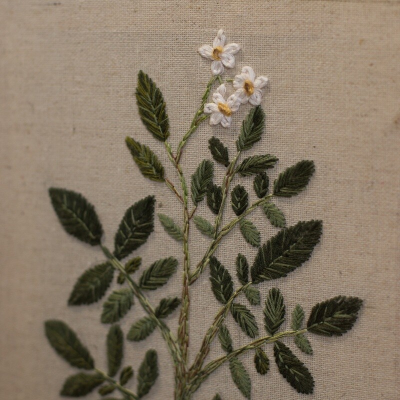 Embroidered & Needle Felted Potato Plant on CanvasBroderie et Feutre aiguilleté sur toile
