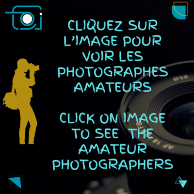 Photographie / Photography