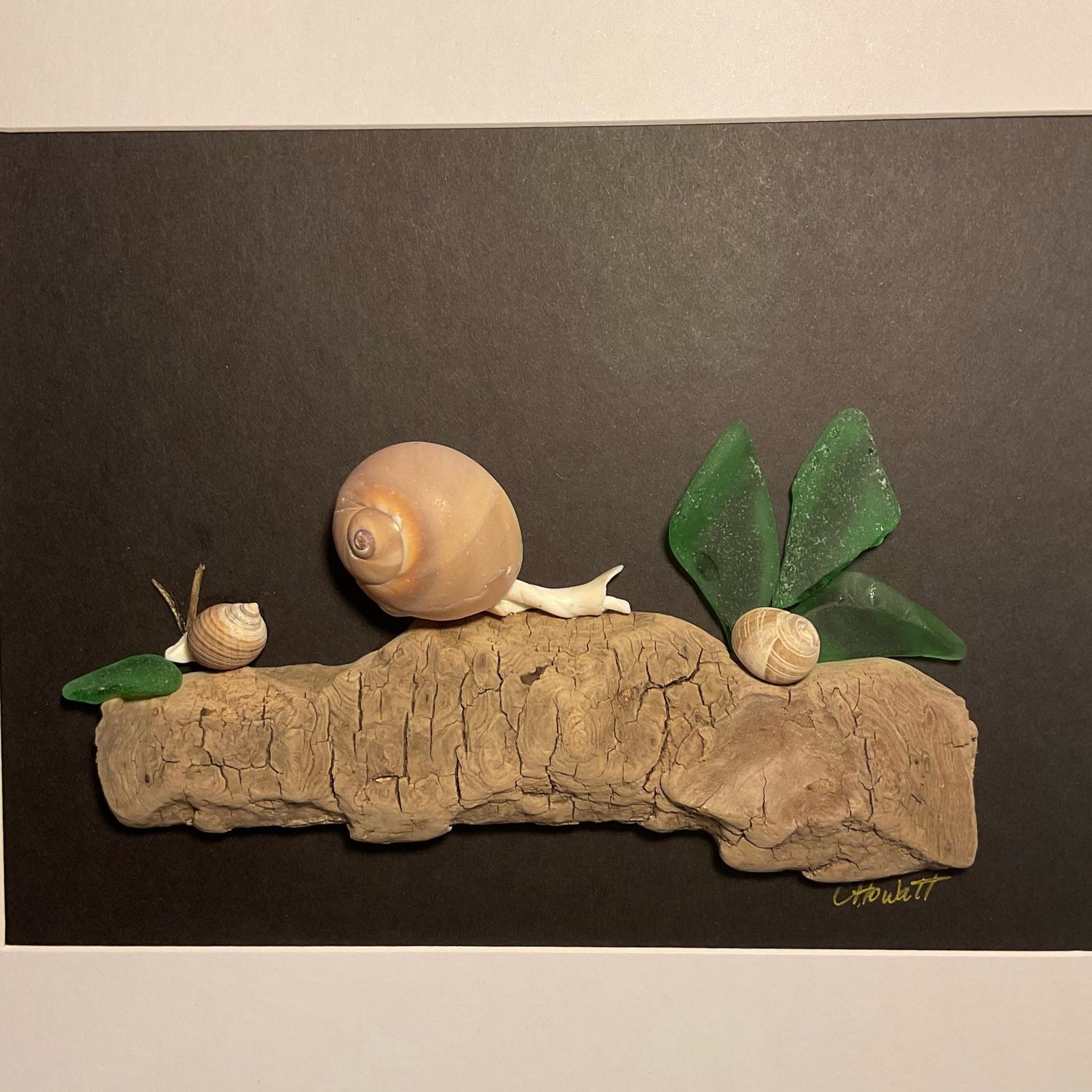 Snails