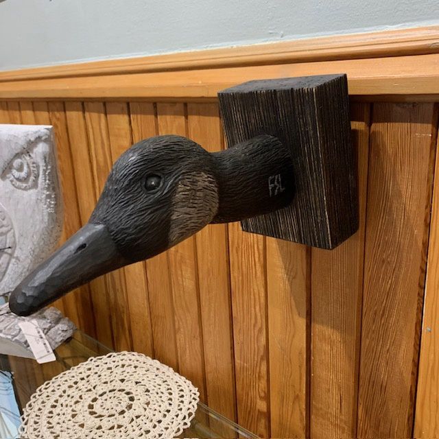 Mr Duck