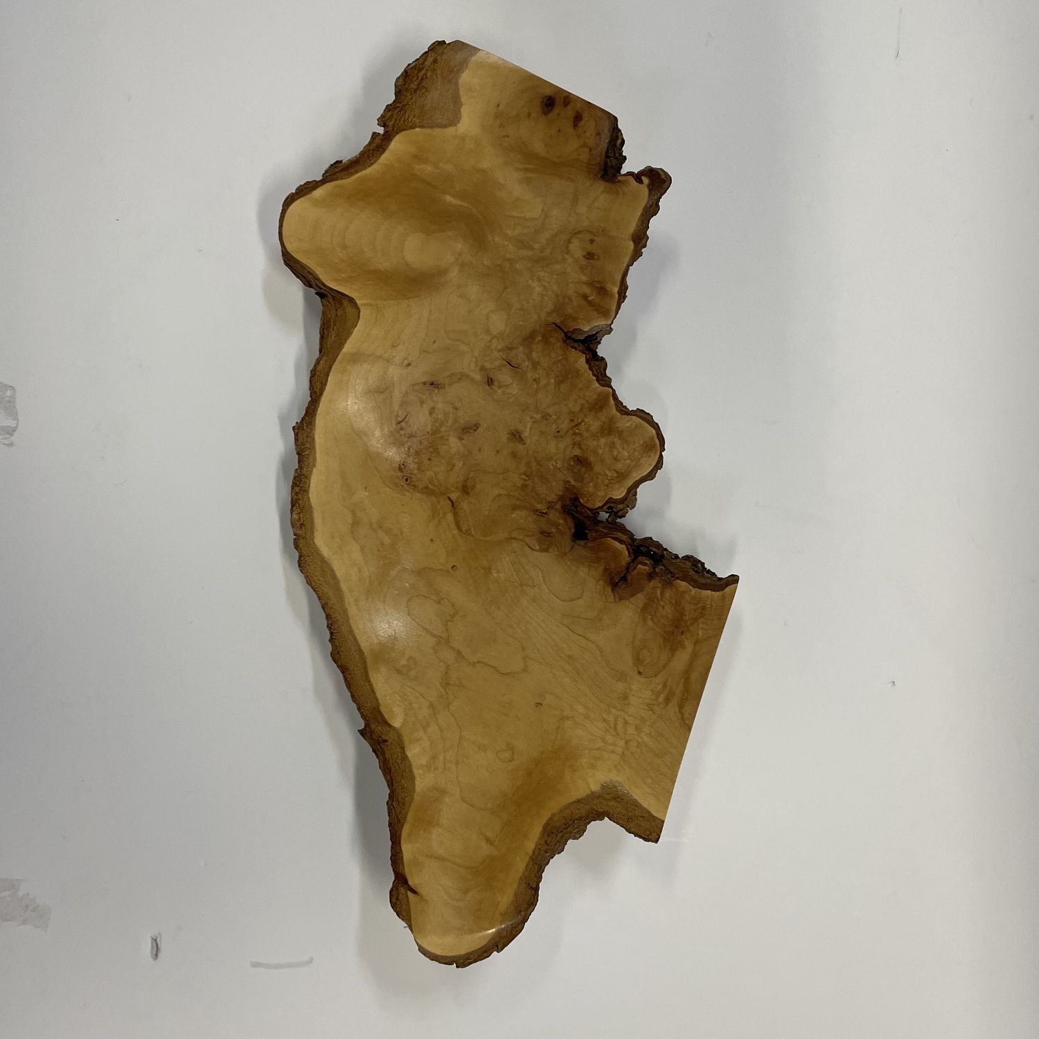Maple Burl 2