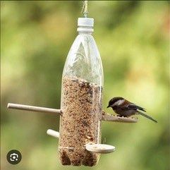 Kids Birdfeeder Workshop (Morning)