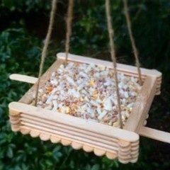 Kids  Three Birdfeeder Workshop