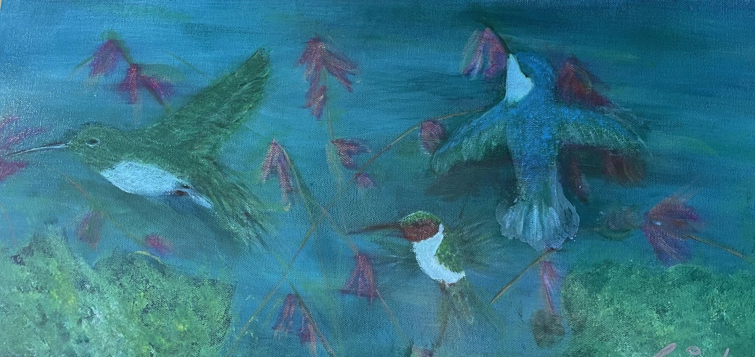 Turquoise Hummingbird