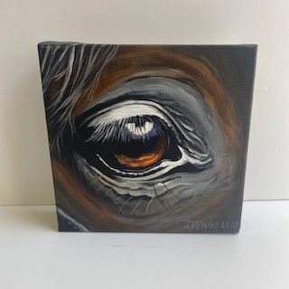 Eye See You
