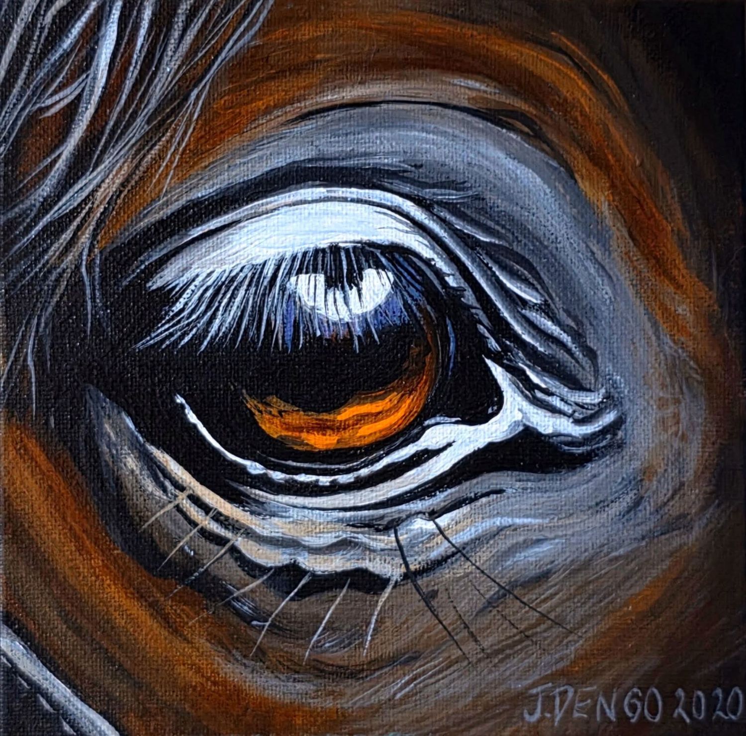 Eye See You