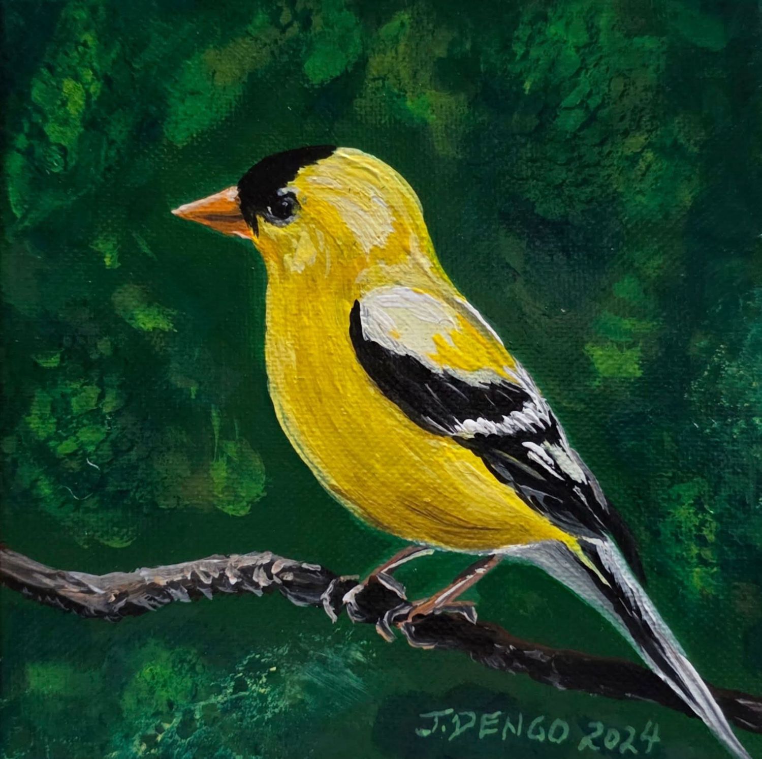 Yellow Finch