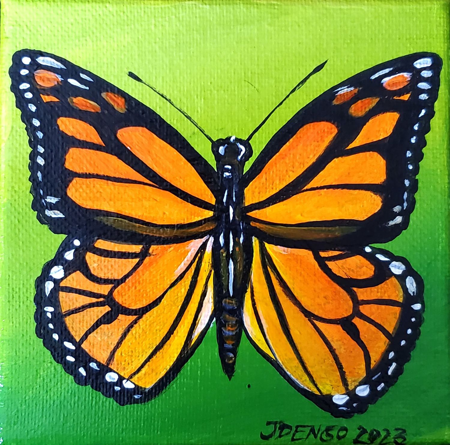 Monarch Butterfly