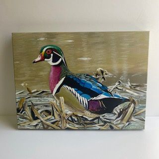 Wood Duck