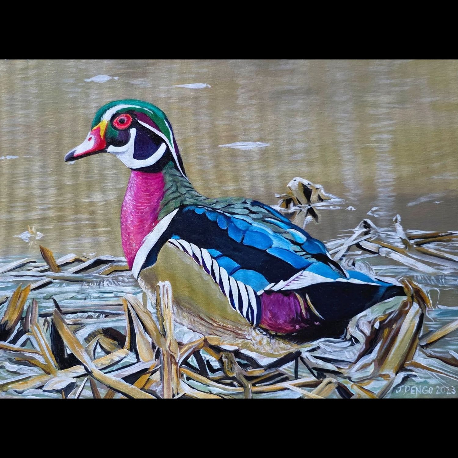 Wood Duck