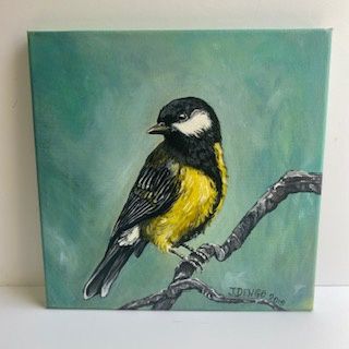 Yellow Belly Titmouse