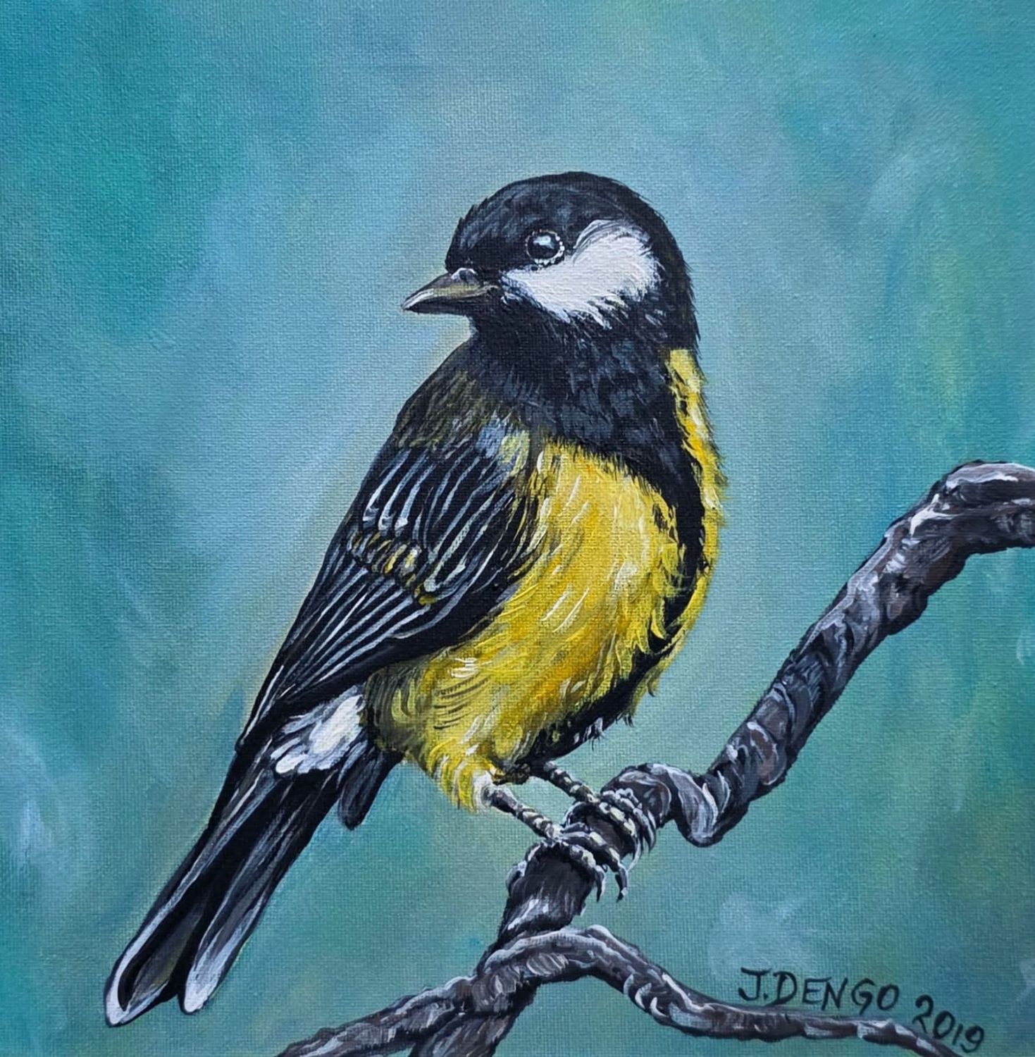 Yellow Belly Titmouse