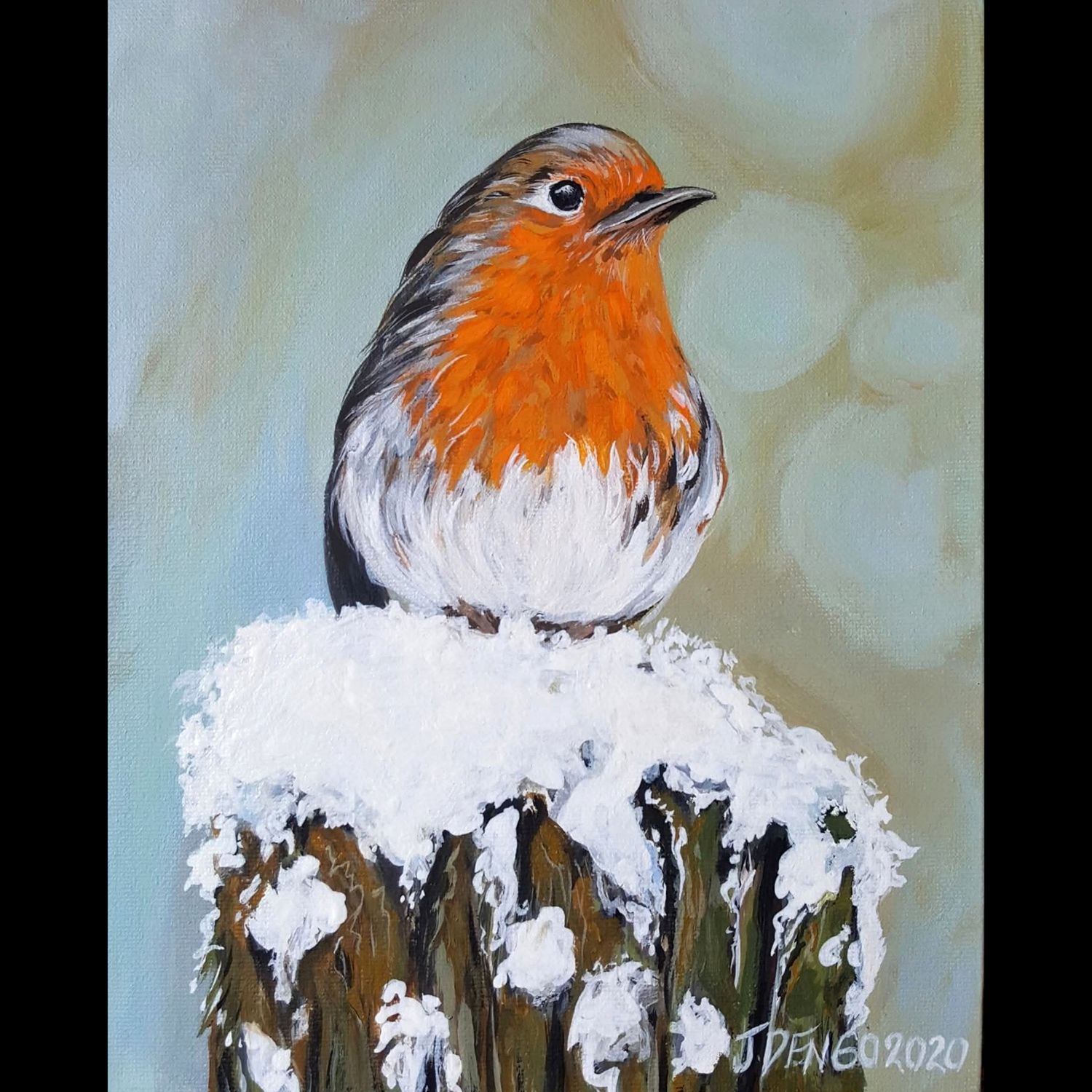 Winter Robin