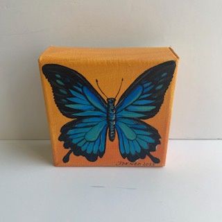 Blue Swallowtail Butterfly