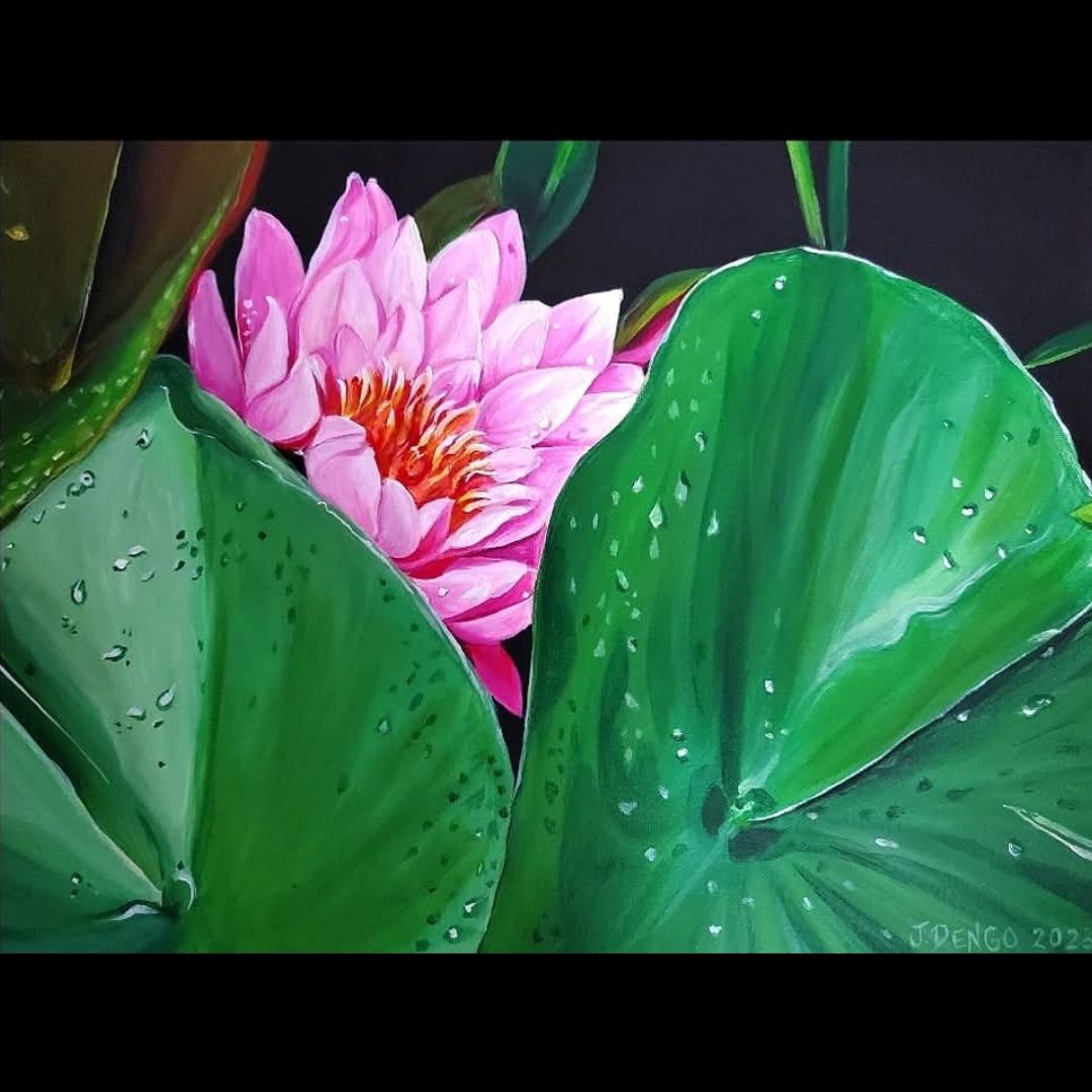 Pink Water Lily