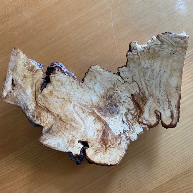 Spalted maple plate