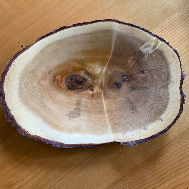Cedar Burl 1