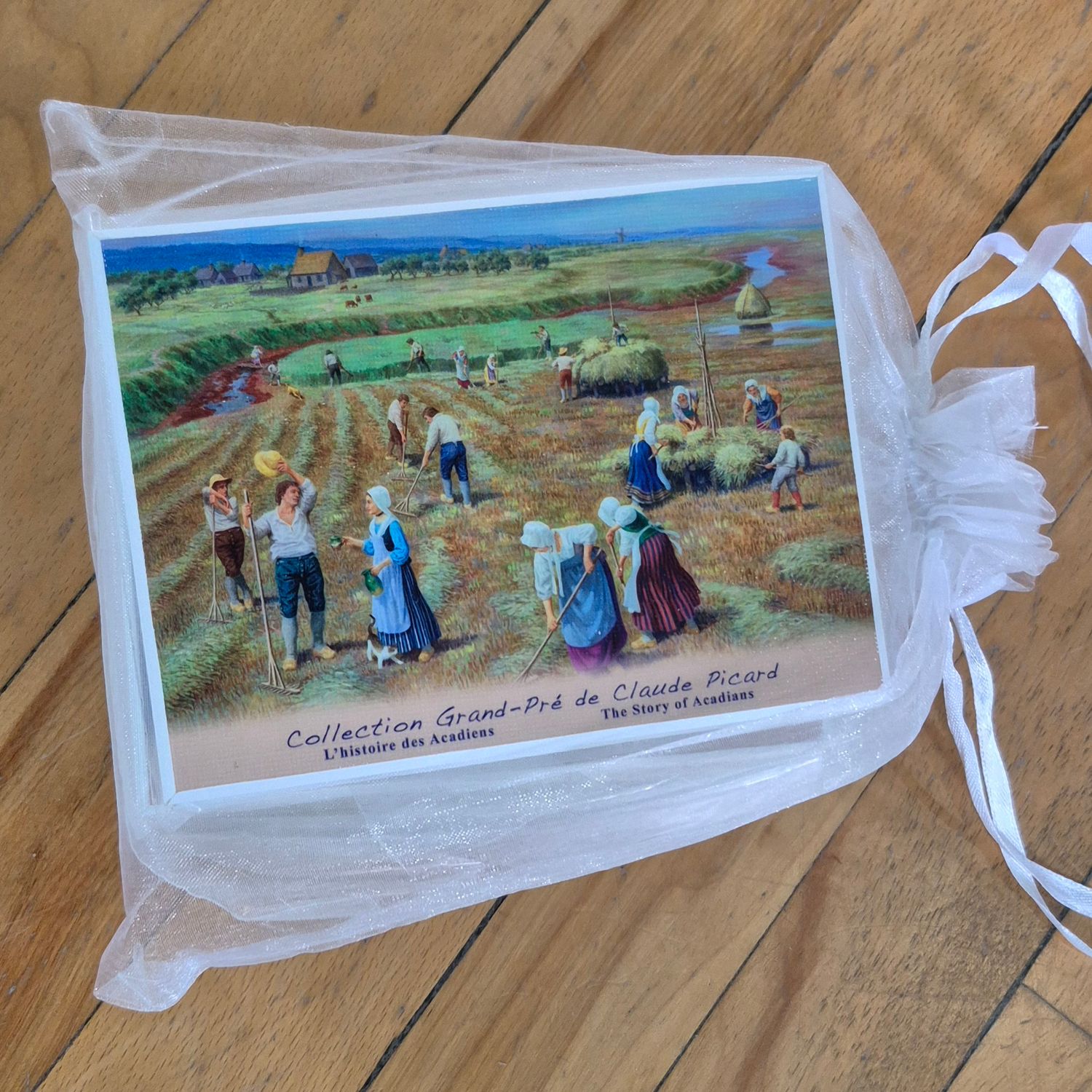 6 laminated pictures 'Collection Grand Pré'