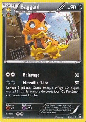 *F204 Fr Baggaid (Holo) 74/99 HP