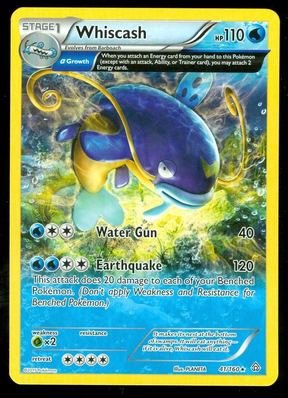 *F259 Whiscash 41/160 MP